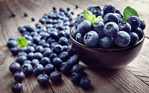blueberry makanan penderita diabetes