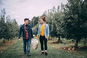 Man and woman walk through an apple orchard holding a bag of nutritious apples. 