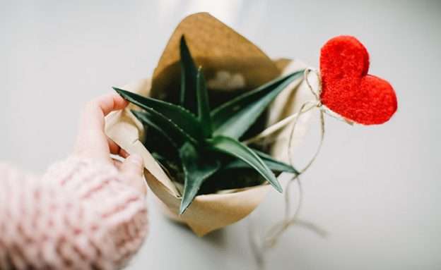 Feature image Show the pancreatic cancer caregiver you know just how much you support and care for them