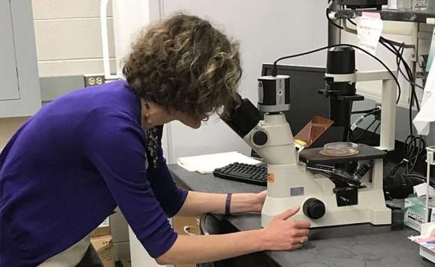 Feature image Pancreatic cancer researcher who lost her dad to the disease studies new treatment combination