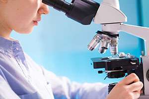 A pathologist examines a biopsy under a microscope.