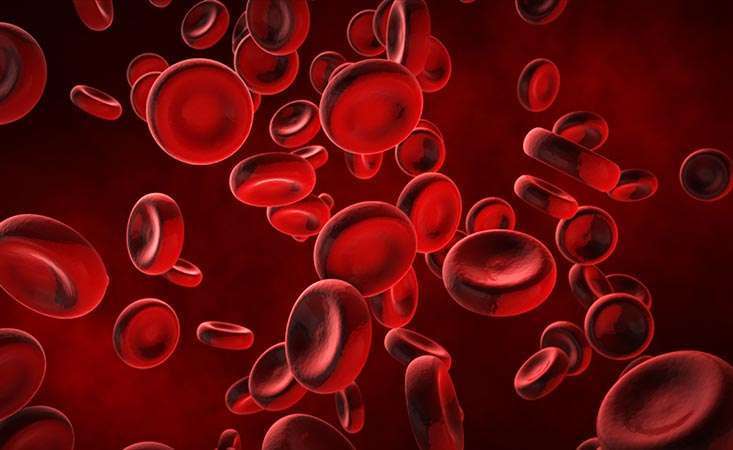 blood-cells-733x450-1.jpg