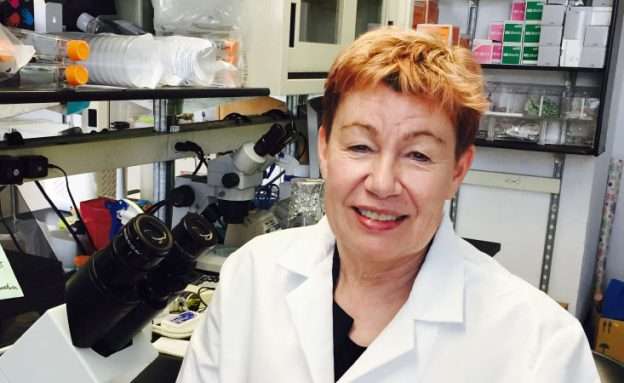 Feature image Pancreatic cancer researcher immigrated to the U.S. from the Netherlands
