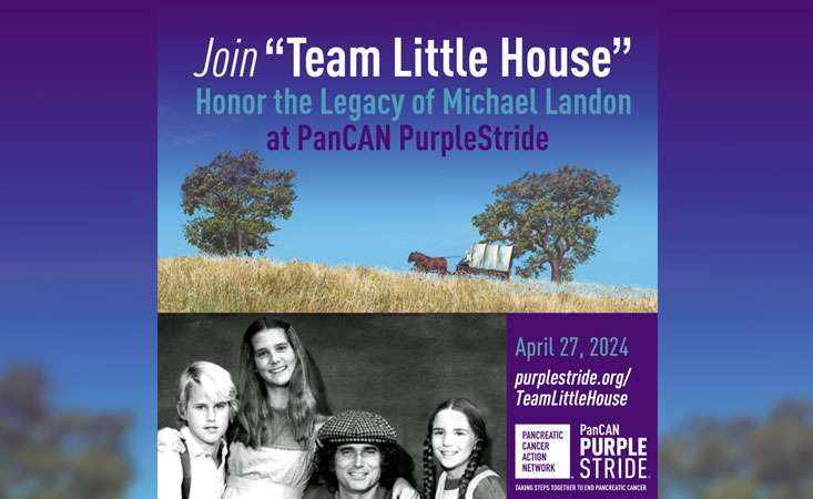 Feature image Team Little House, PanCAN Purplestride